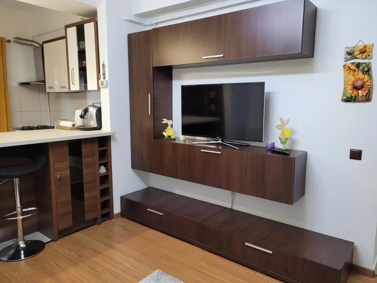 Andi Apartment Sibiu Buitenkant foto
